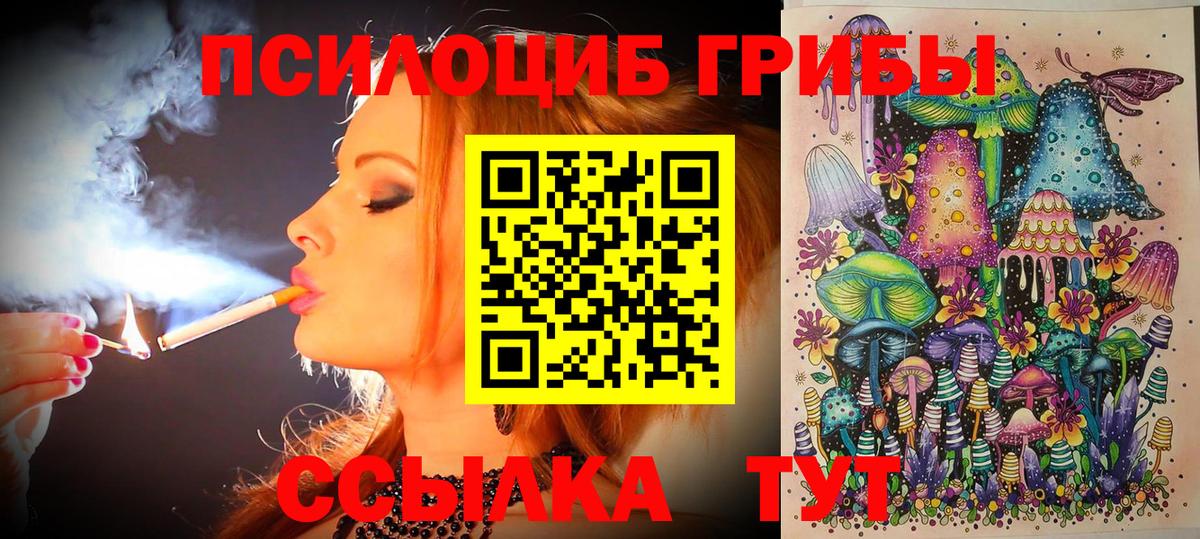 Галлюциногенные грибы Psilocybine cubensis Краснознаменск
